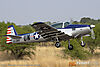 IMG_2303m_8001.jpg
