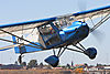 IMG_2305m_800-2.jpg
