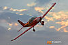 IMG_2389m_800_copy.jpg