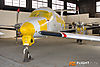 IMG_2406m_800_copy.jpg