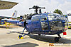 IMG_2409m_8003.jpg
