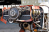 IMG_2416m_800_copy.jpg