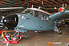 IMG_2487m_800.jpg