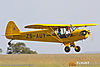 IMG_2498m_800.jpg