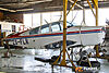 IMG_2566M_8002.jpg