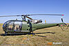 IMG_2611m_8002.jpg