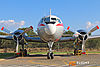IMG_2677m_800.jpg