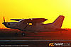 IMG_2741m2_800.jpg