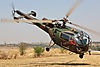 IMG_2746m_800.jpg