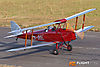 IMG_2782M_800.jpg