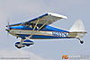 IMG_2842m2_800.jpg