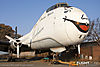 IMG_2888M_800.jpg
