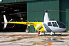 IMG_2894m_800_copy.jpg