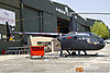 IMG_2975M_800.jpg