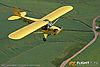 IMG_3014m_800.jpg