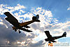 IMG_3067m_800.jpg