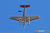 IMG_3079m2_800.jpg