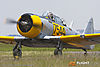 IMG_3122m_800.jpg