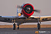 IMG_3284m_800.jpg