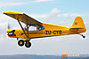 IMG_3306m2_800.jpg