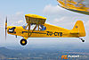IMG_3334M_800_copy1.jpg