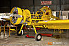 IMG_3349m_800_copy.jpg