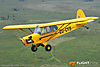 IMG_3352m2_800.jpg
