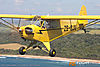 IMG_3376m2_800.jpg