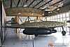 IMG_3377m_8003.jpg
