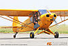 IMG_3480m_800.jpg