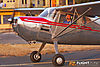 IMG_3548m_800.jpg