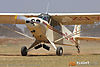 IMG_3573m_800.jpg