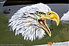 IMG_3591m_800_copy.jpg