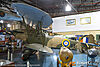 IMG_3613m_8002.jpg