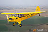 IMG_3777m_800.jpg