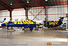 IMG_3782m800.jpg