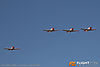 IMG_3797m_800.jpg