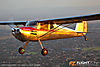 IMG_3871m2_800.jpg