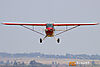 IMG_3893m_8003.jpg