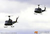 IMG_3901m_800.jpg