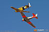 IMG_3917m_800_copy.jpg