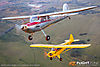 IMG_3989M_800.jpg