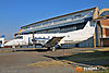 IMG_4003m_800.jpg