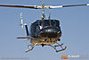 IMG_4035m_800_copy.jpg