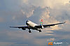 IMG_4087m_800.jpg