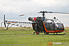 IMG_4131m_8002.jpg
