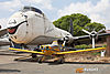 IMG_4133m_800.jpg