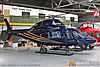 IMG_4167m_8001.jpg