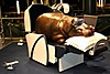 IMG_4211M_Medium_.jpg