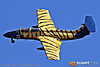 IMG_4237M_800.jpg